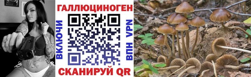 продажа наркотиков  Луховицы  Псилоцибиновые грибы Cubensis 